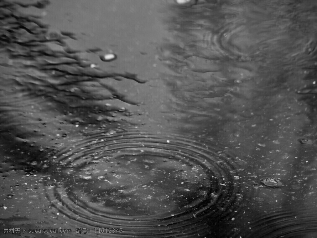 雨滴 水面 涟漪 黑白摄影 自然风景 雨天 湿地 雨水 宁静 水纹 水滴 静谧