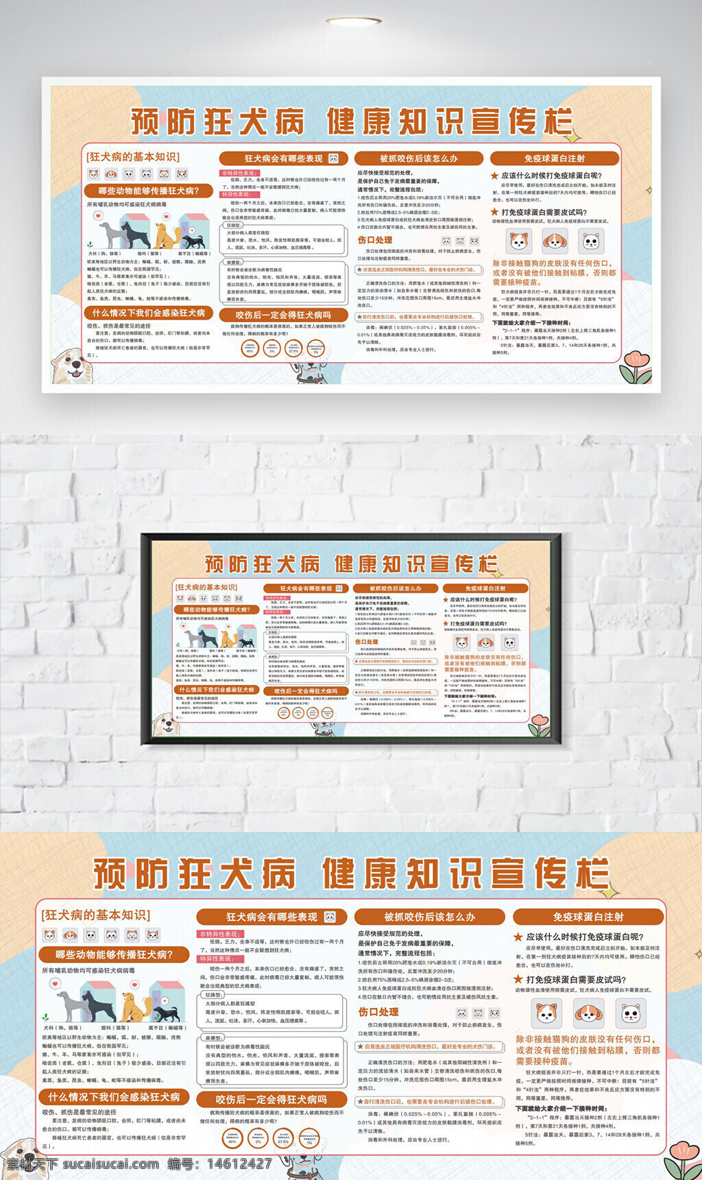 狂犬病 健康知識 宣傳欄 展板設(shè)計(jì) 醫(yī)療衛(wèi)生 預(yù)防狂犬病 犬類疾病 疫苗接種 健康宣傳 寵物安全 疾病預(yù)防 科學(xué)養(yǎng)寵 動物咬傷處理