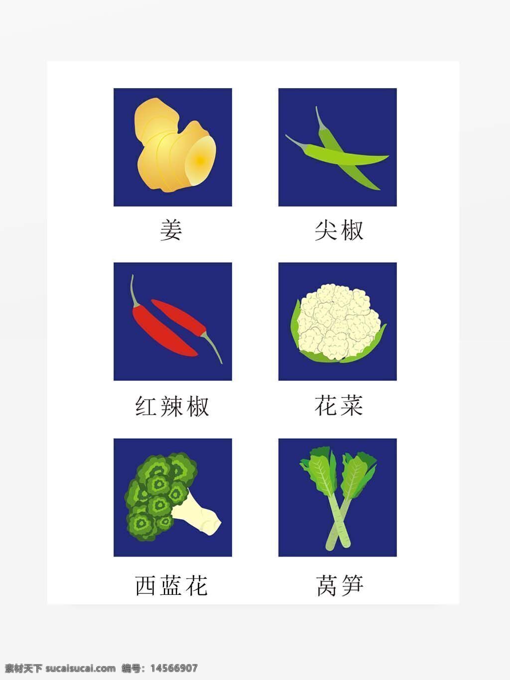 蔬菜矢量图 姜 尖椒 红辣椒 花菜 西蓝花 莴笋 可变大小