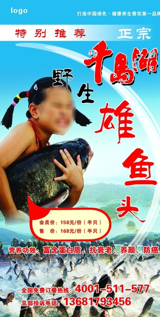雄鱼头 千岛湖 易拉宝 灯片 野生