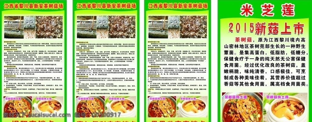 茶树菇煲汤 茶树菇 煲汤 新菇上市 花树菇展板 海报 展板