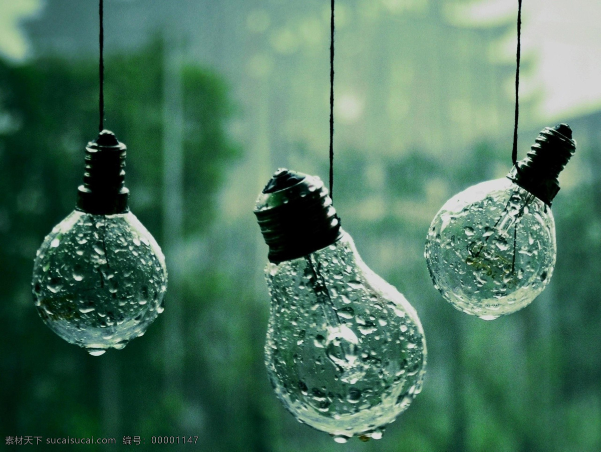 雨 中 灯泡 雨中 雨后 悬挂的灯