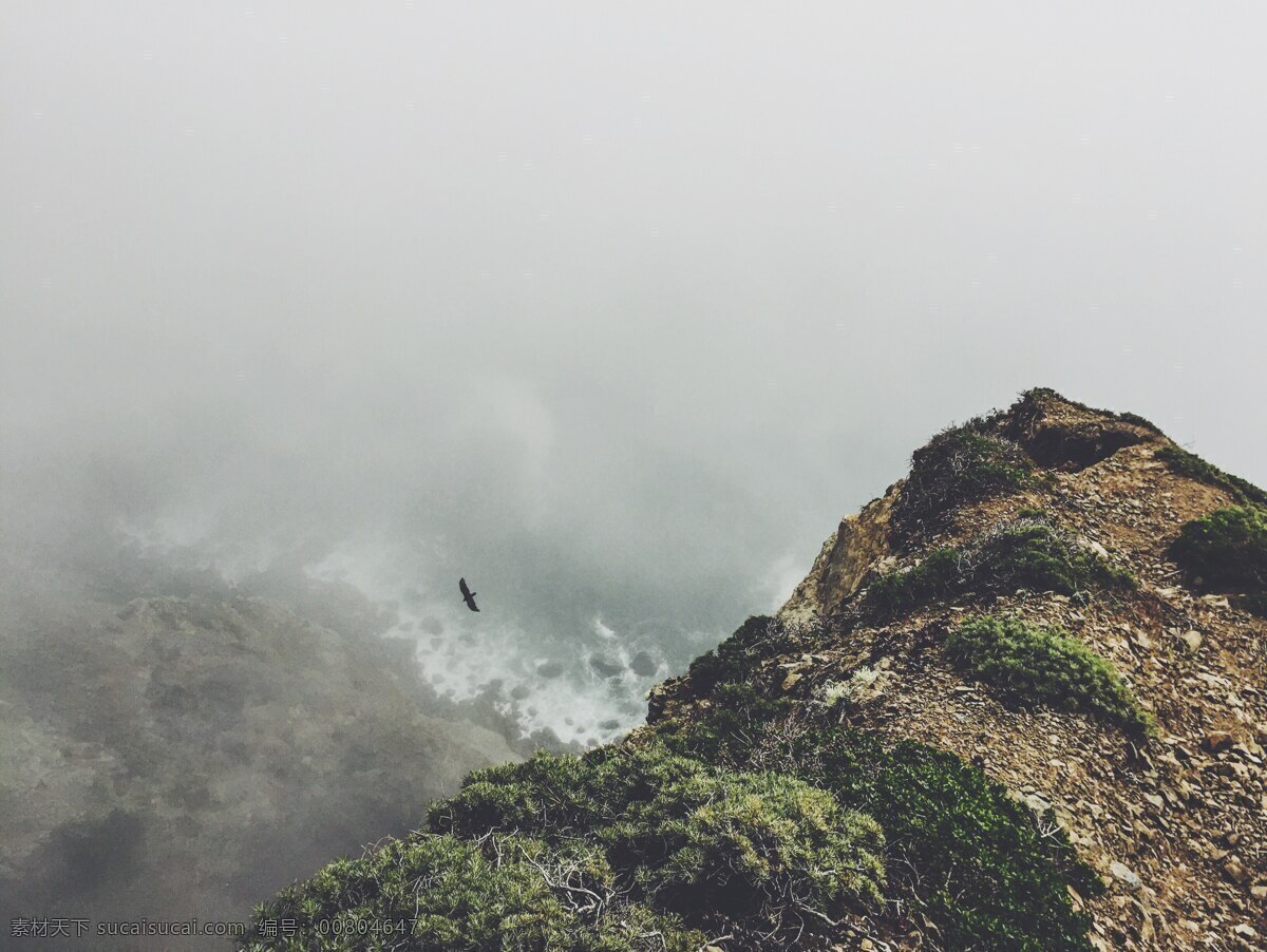 险峻 山顶 风景 高清 迷雾 翱翔 老鹰 大海 海水