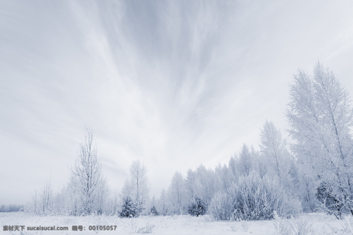 冬日 雪景 冬季 冬天 美丽风景 景色 美景 积雪 雪地 森林 树木 雪景图片 风景图片