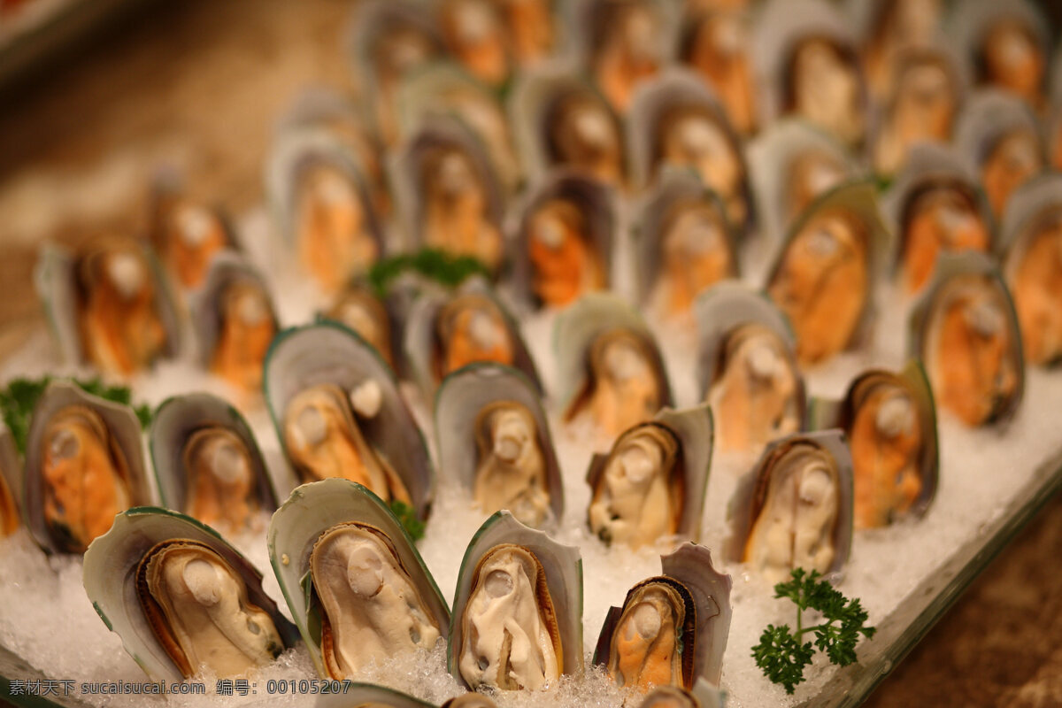 蛤蜊 花甲 火锅蛤蜊 生蛤蜊 海鲜 传统美食 餐饮美食 海鲜自助火锅 食物原料
