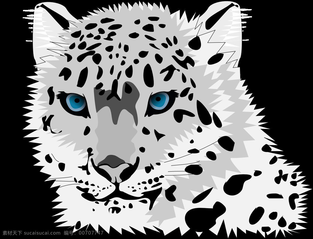 雪豹 动物 猫 豹 野生猫 卡通 卡通设计