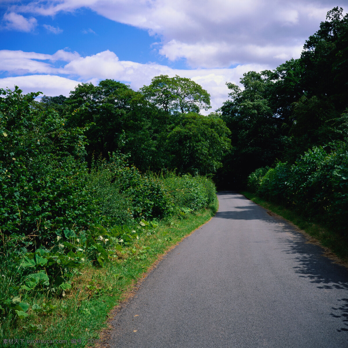 路免费下载 大路 公路 路 路径 路面 宽阔 风景 生活 旅游餐饮