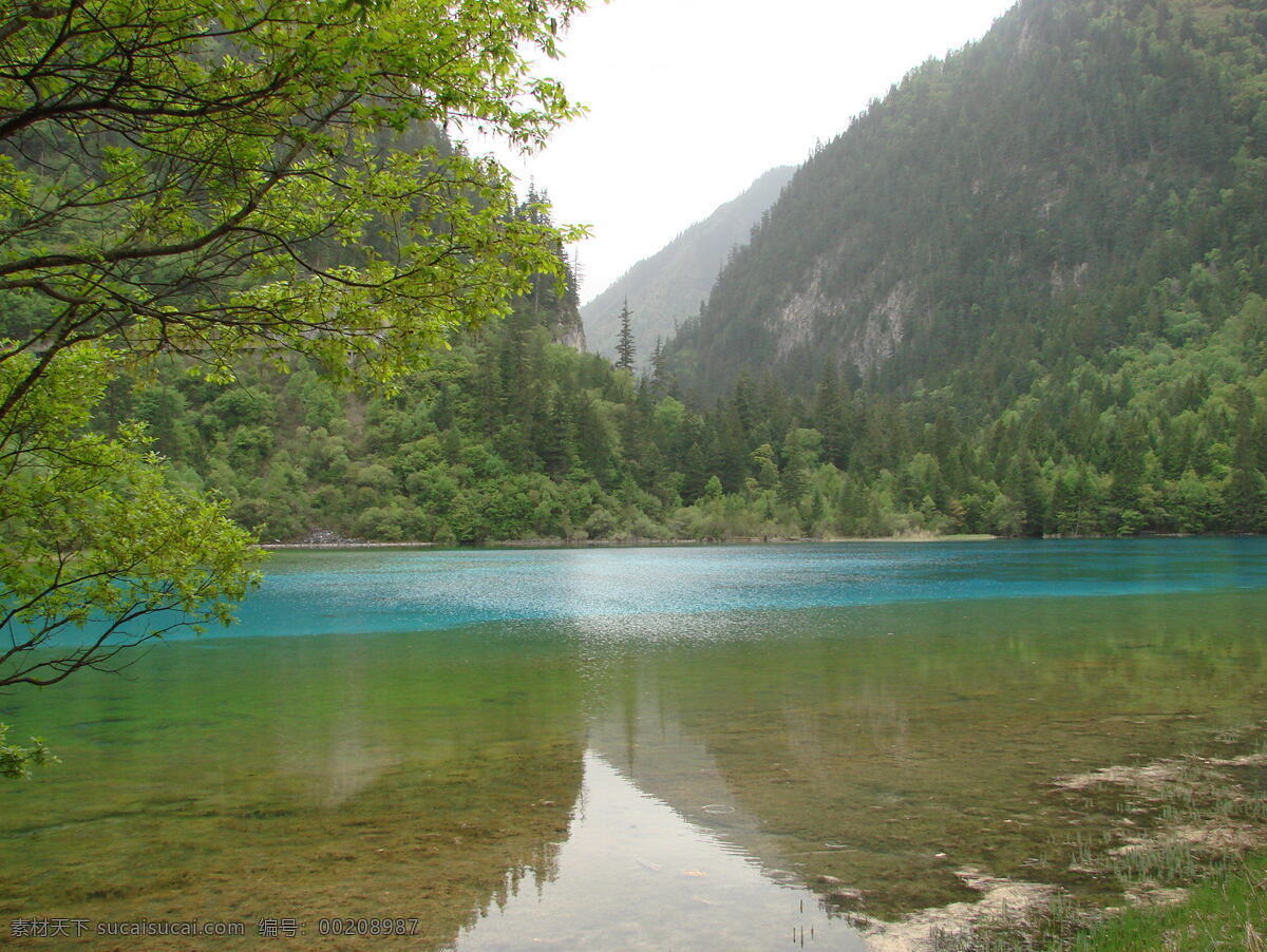 九寨沟 美景 九寨沟美景 山水景观 自然风光 风景 生活 旅游餐饮