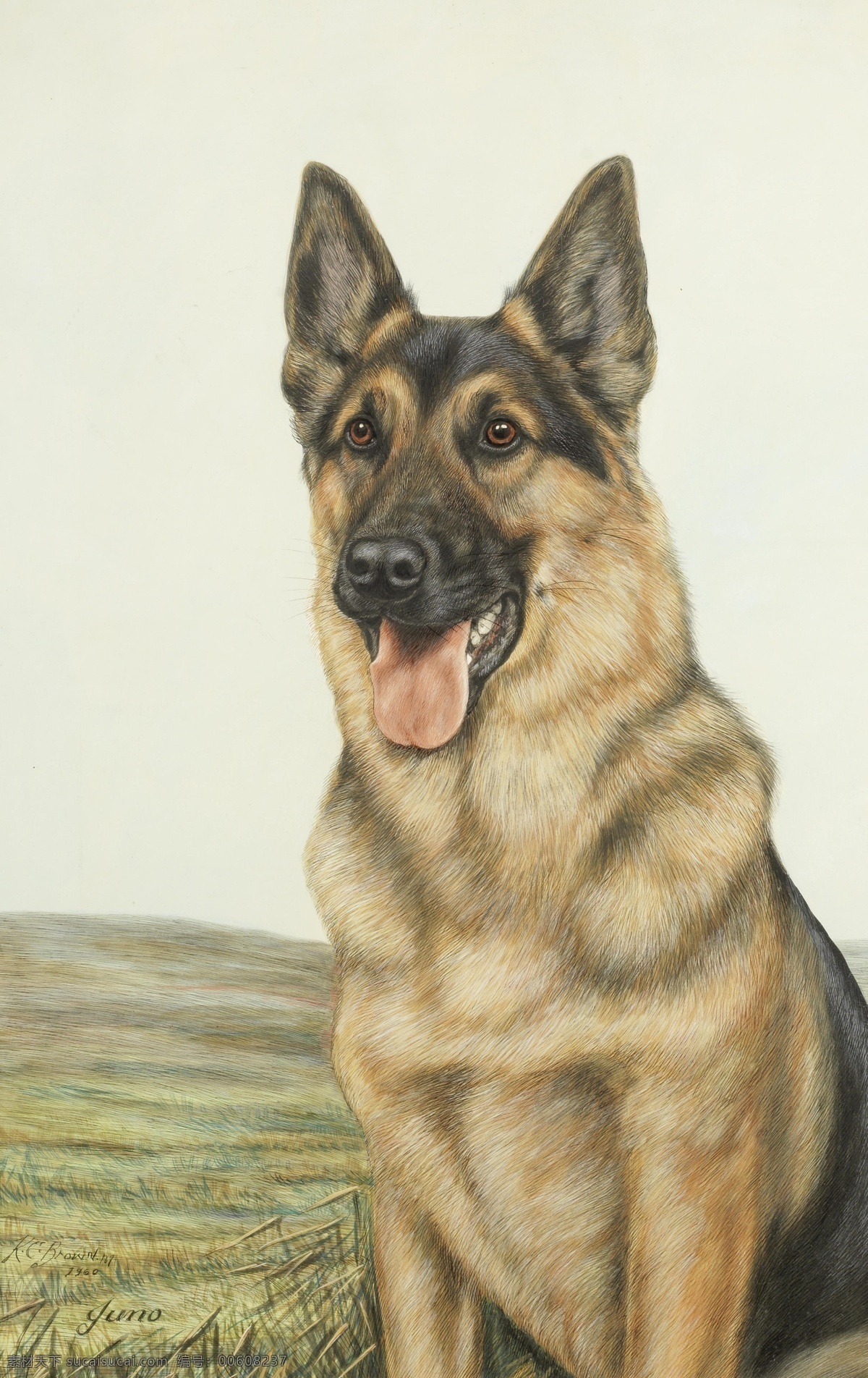 欧式油画 宫廷 装饰画 海报 无框画 复古 抽象 犬类 狗狗 萌宠 油画 文化艺术 绘画书法