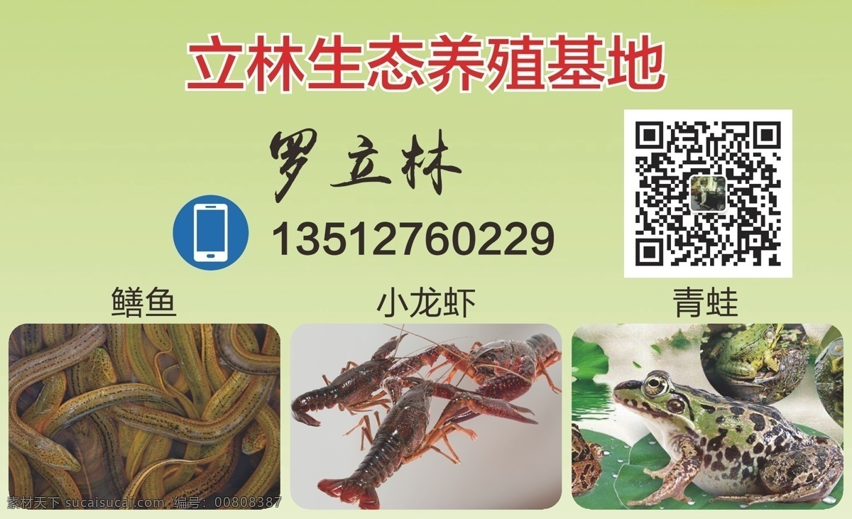 养殖卡片 养殖名片图 养殖名片素材 养殖 名片 共享标志 vi 名片卡片