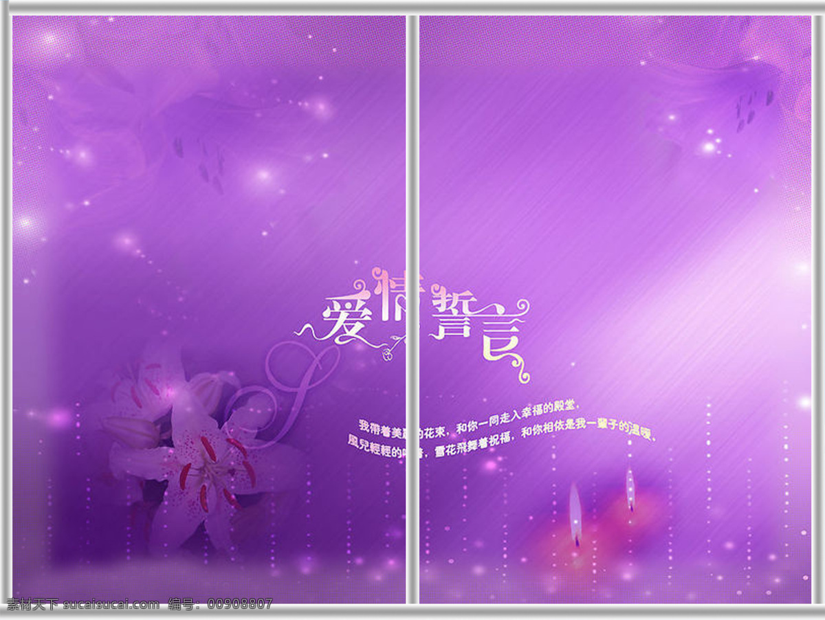 百合花 粉色底图 花素材 花纹 浪漫主义 两门图 前卫时尚 热门行业 现代简约 星光 移门图 双门图 多门图 优雅一族 移门图片 装饰素材