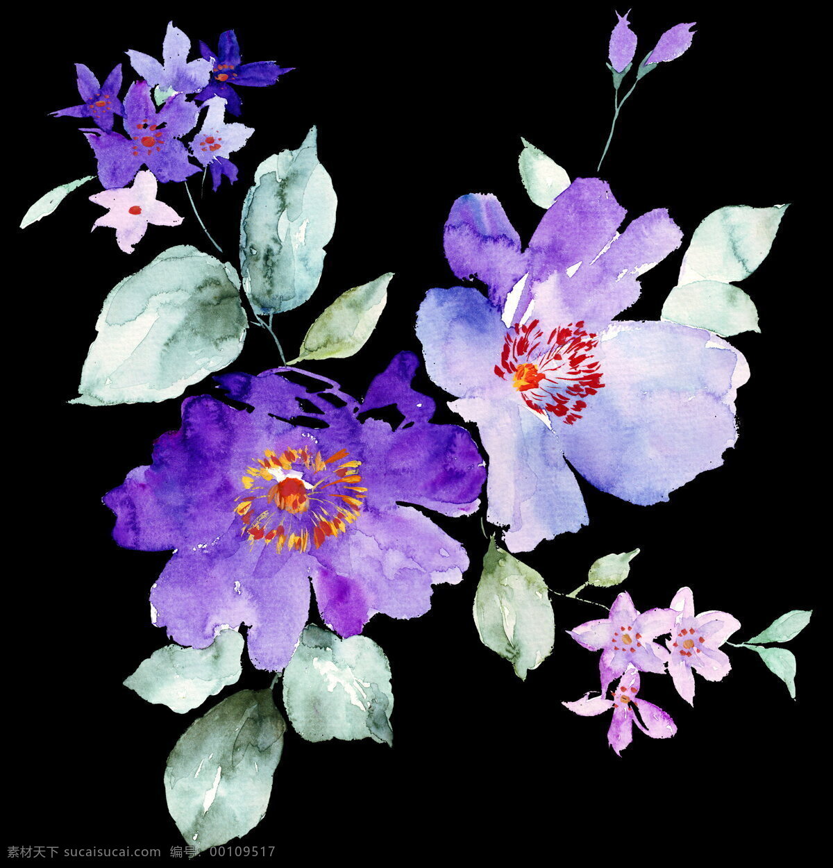 紫色 手绘 花卉 高清大图 黑底 手绘花 移门花 装饰花 紫花 文化艺术