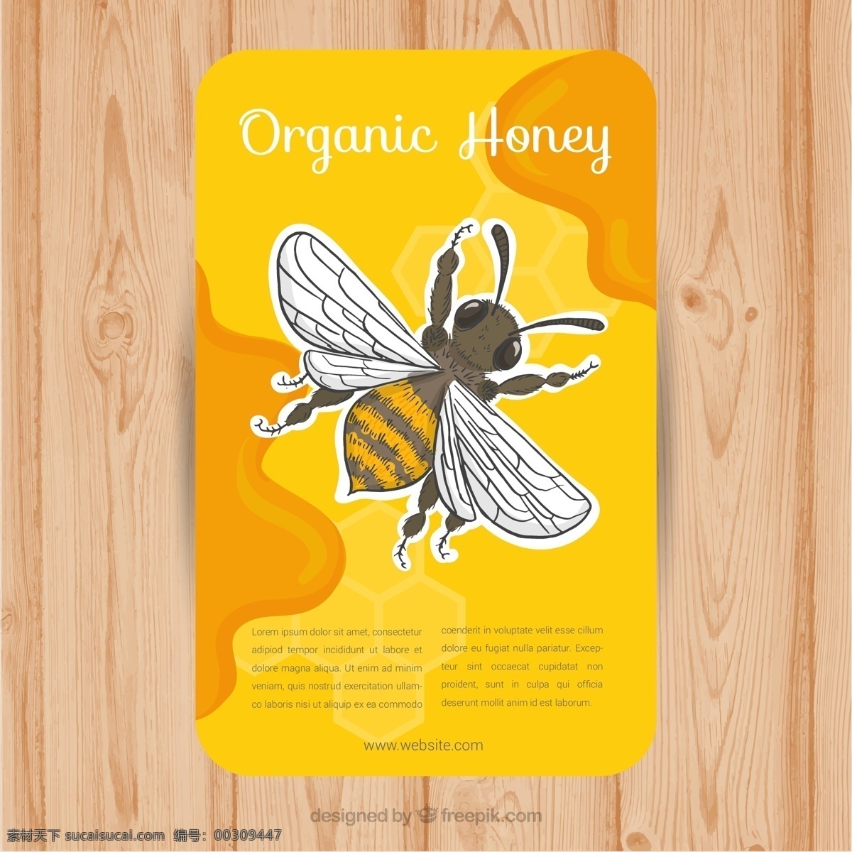 手绘 蜂蜜 卡片 手绘蜜蜂 蜜蜂 蜜蜂卡片 矢量卡片