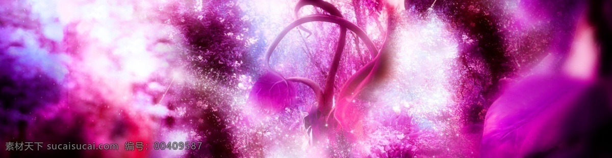 紫色 梦幻 森林 系 banner 背景 场景背景 大屏幕背景 动感视频 绿色背景 清新背景 森林背景 素材背景