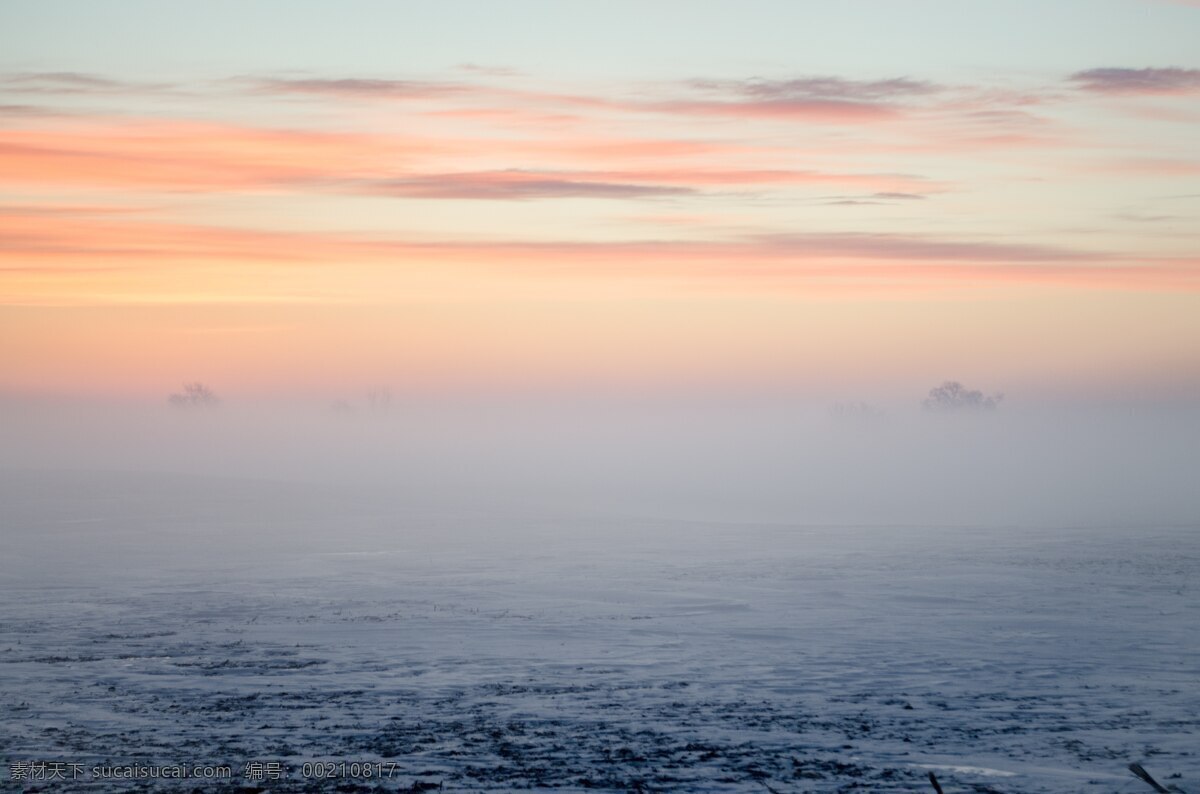 原野 雪 冬天 霜 冷 平静 安静 宁静 有雾 朦胧 粉红色 天空 白云 天空下的原野 旅游摄影 国内旅游