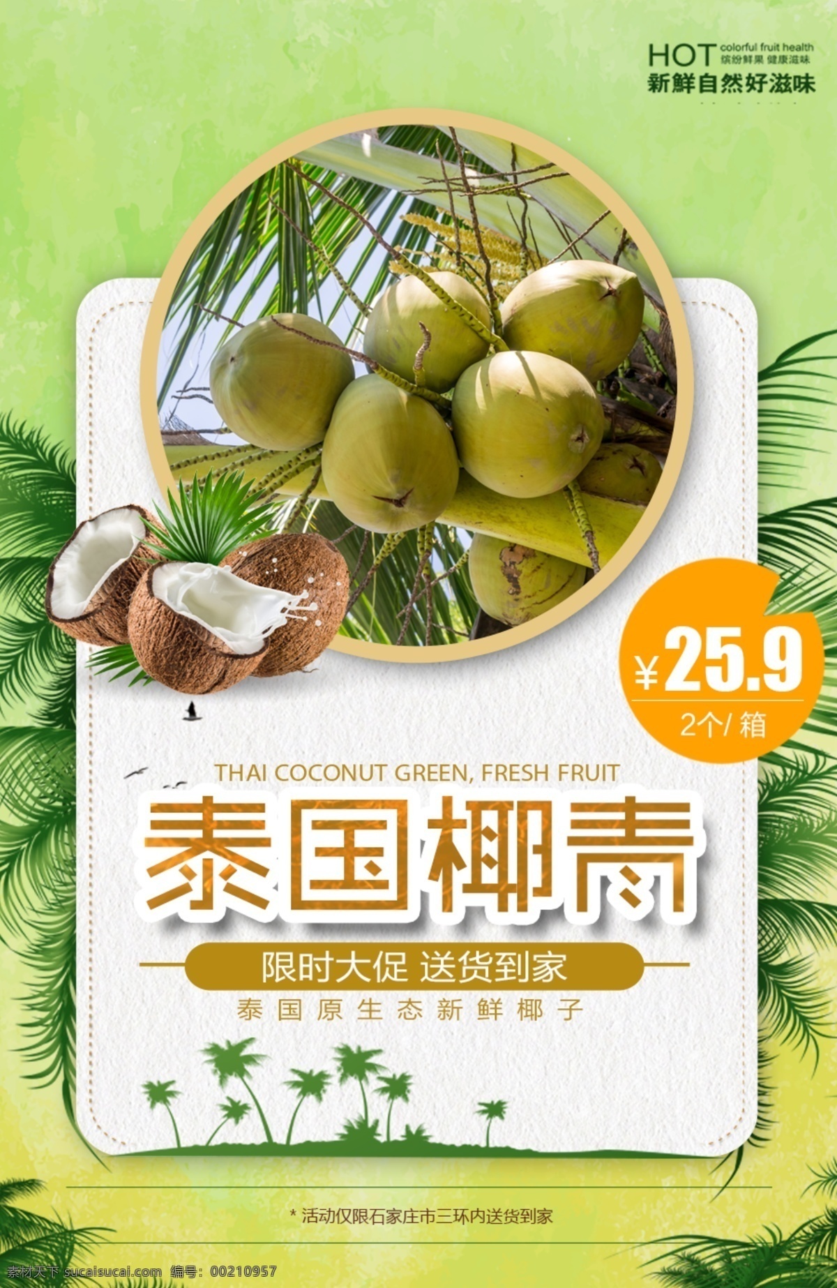 泰国 椰 青 椰子 绿色 水果 海报 促销 大气 宣传 椰青 展板