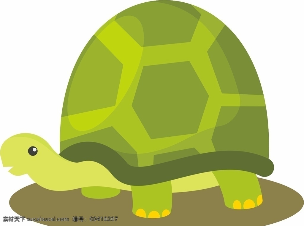 乌龟图片 乌龟 龟 海龟 老鳖 鳖 矢量 矢量素材动物