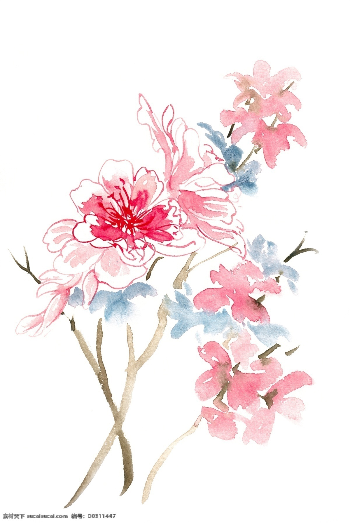 粉红色 花朵 水彩画 免 抠 淡雅 花卉 植物 意境 简约 水彩 透明 手绘 粉红 优美 写意 免抠 亮丽 清幽 绘画 逼真 写实