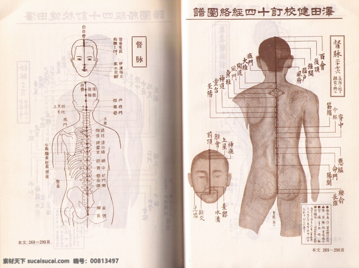 督脉代田文志 日本 经络图 代田文志 督脉 中医