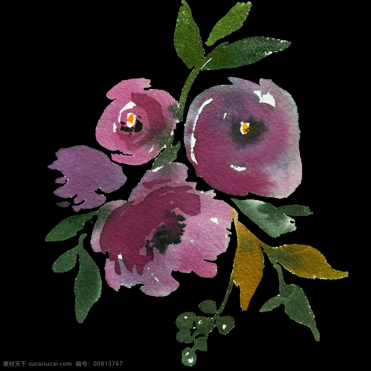 手绘 暗 紫色 花卉 透明 果子 免扣素材 水彩 四朵花 透明素材 渲染 叶子 装饰图案