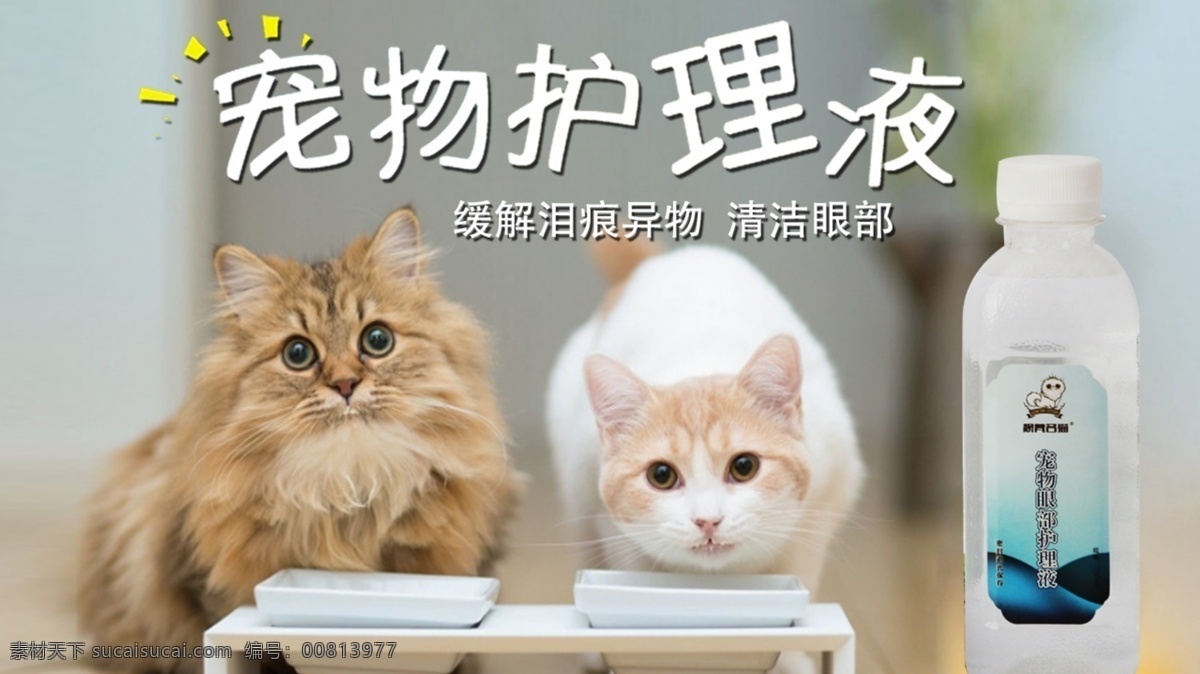 宠物 猫 护理液 促销 海报 促销海报 狗