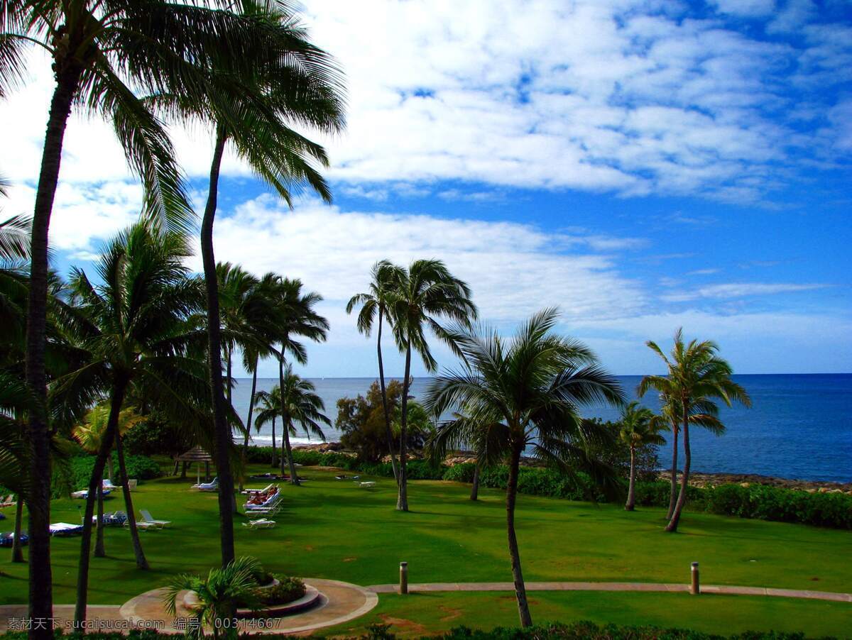 夏威夷海滨 夏威夷 蓝天 白云 大海 绿色 棕榈树 草地 自然风景 自然景观
