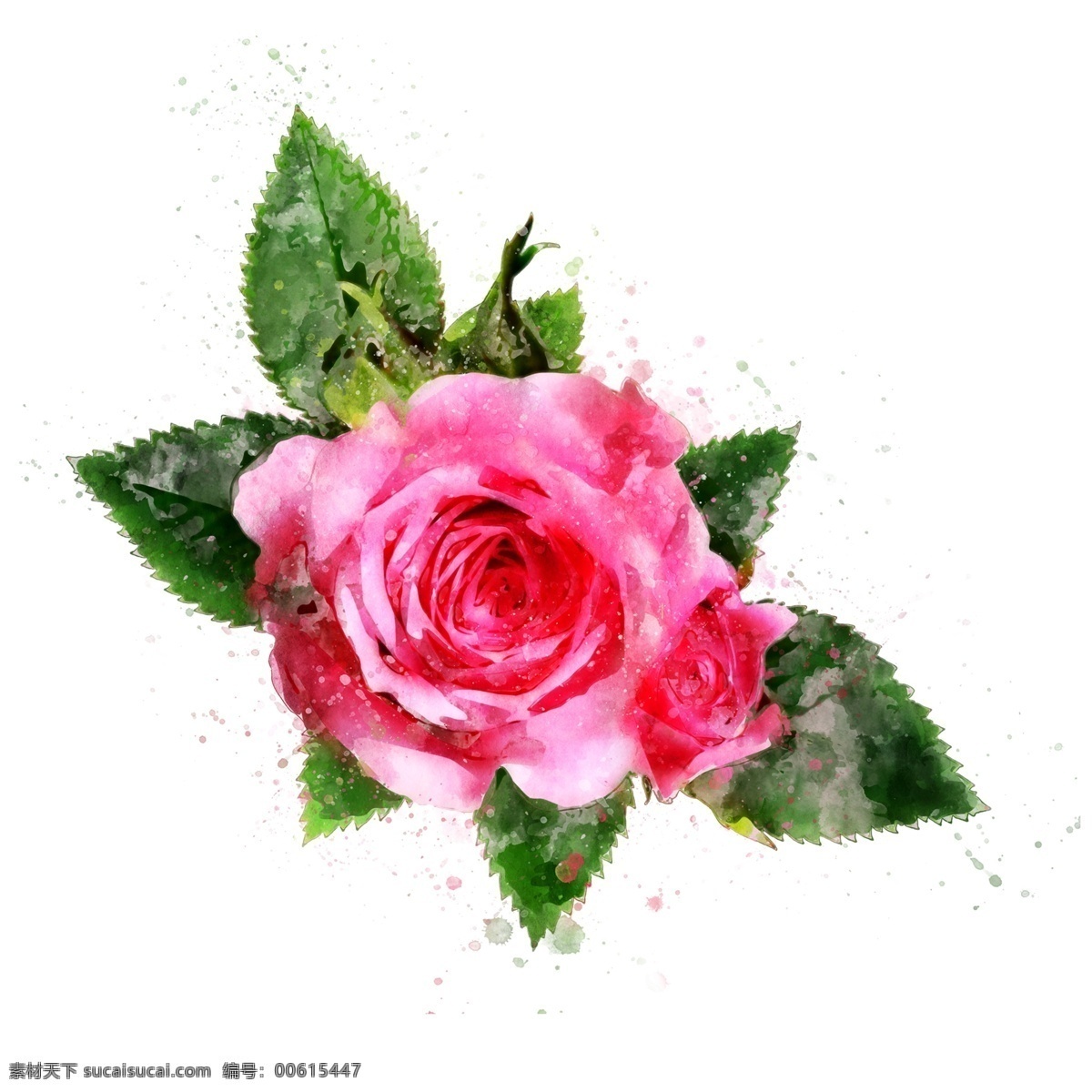手绘 花卉 玫瑰红色 植物 水彩 元素 红色 原创 玫瑰