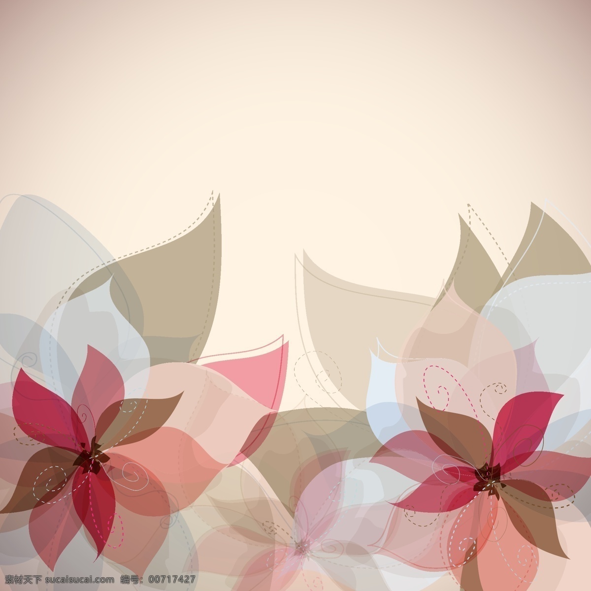 花的抽象背景 抽象背景 红色花 十字花 白色花瓣