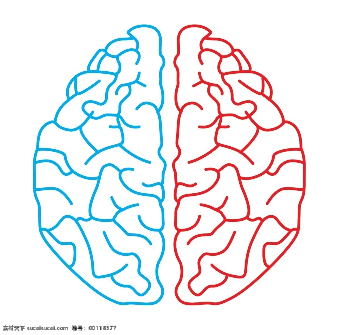 大脑 左脑 右脑 脑袋 智慧 线条脑子 左右脑 其他模版 广告设计模板 源文件