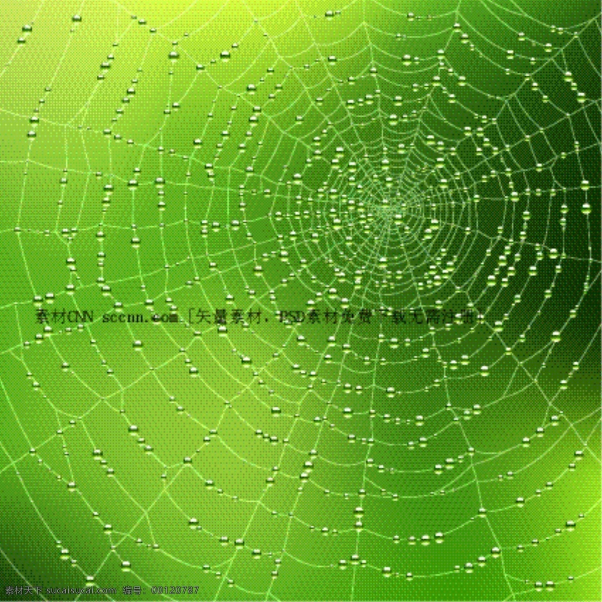 沾满 水珠 蜘蛛网 矢量 雨水 蜘蛛 蛛网 矢量图 其他矢量图
