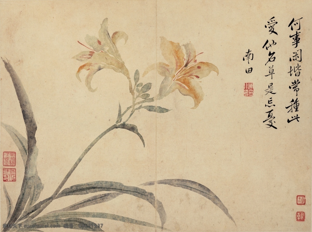 华嵒画 写意画 工笔画 花 兰花 古风 文化艺术 绘画书法