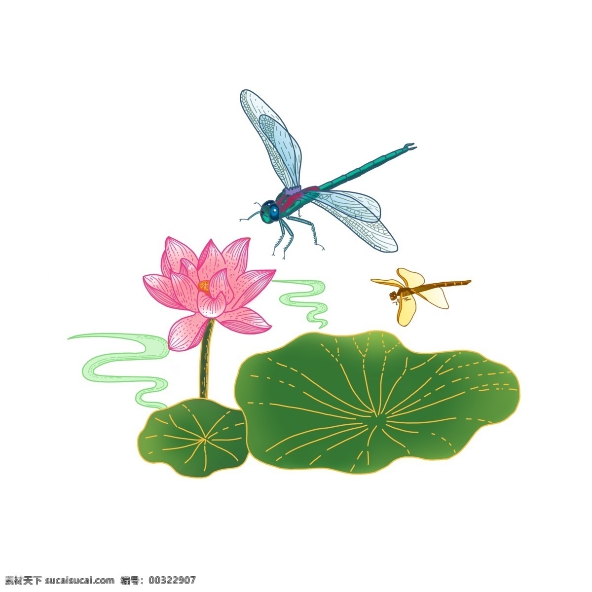手绘 中国 风 蜻蜓 荷花 昆虫 荷叶 夏 中国风