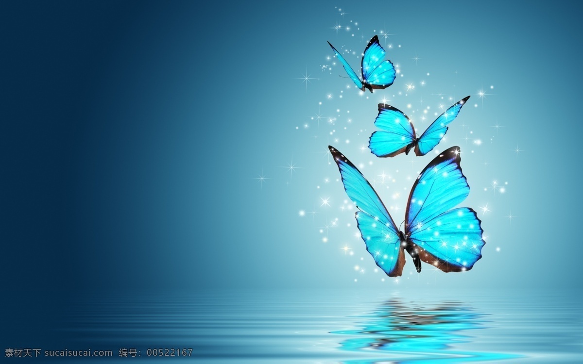 蓝蝴蝶 海报 唯美 神秘 蝴蝶 动漫动画