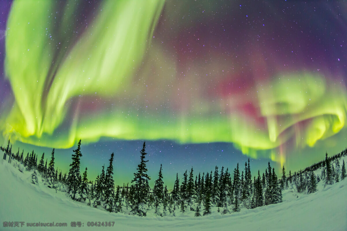 北极光 炫光 星空 极光 星空装饰 浪漫星空 北极星光 北极 星光 旅游摄影 自然风景