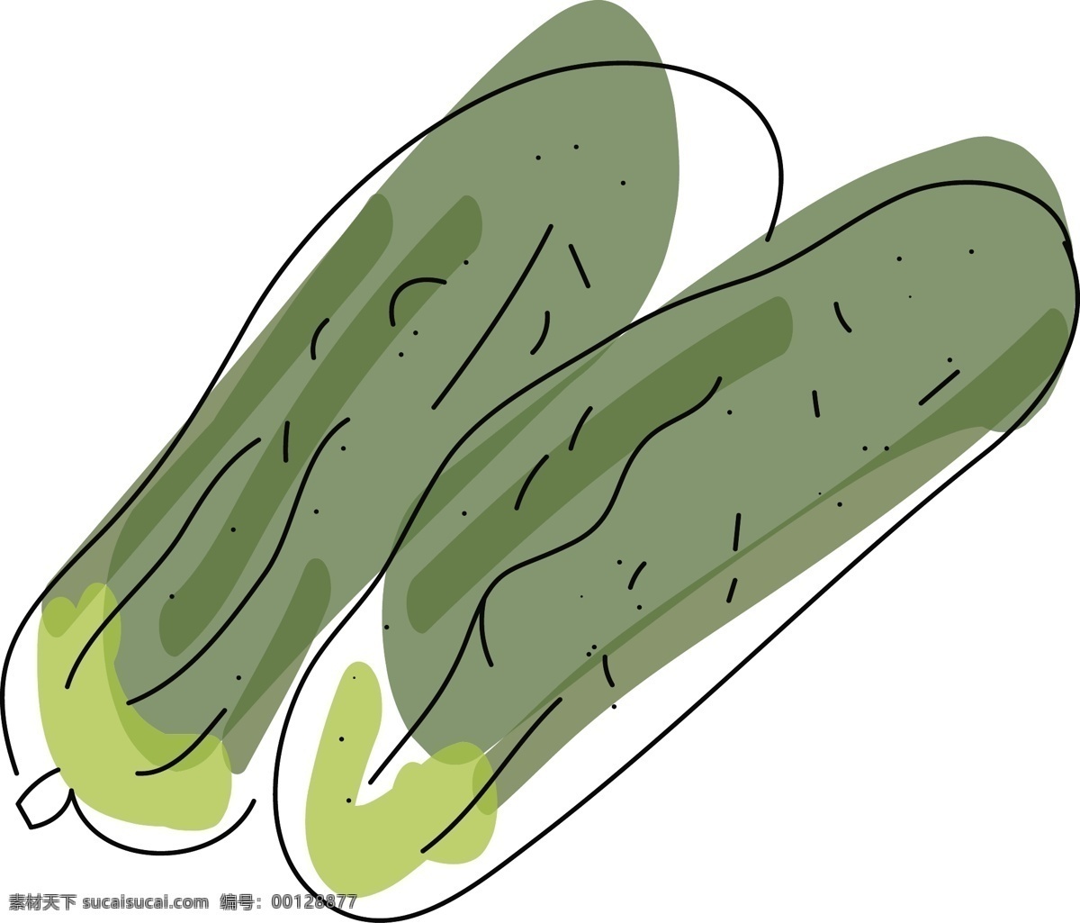 黄瓜 水彩 手绘 风格 蔬菜 矢量