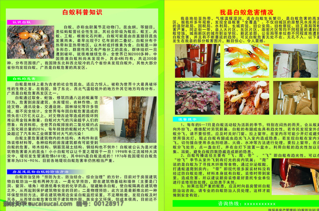 白蚁 科普 宣传单 白蚁防治 白蚁危害 dm宣传单 绿色