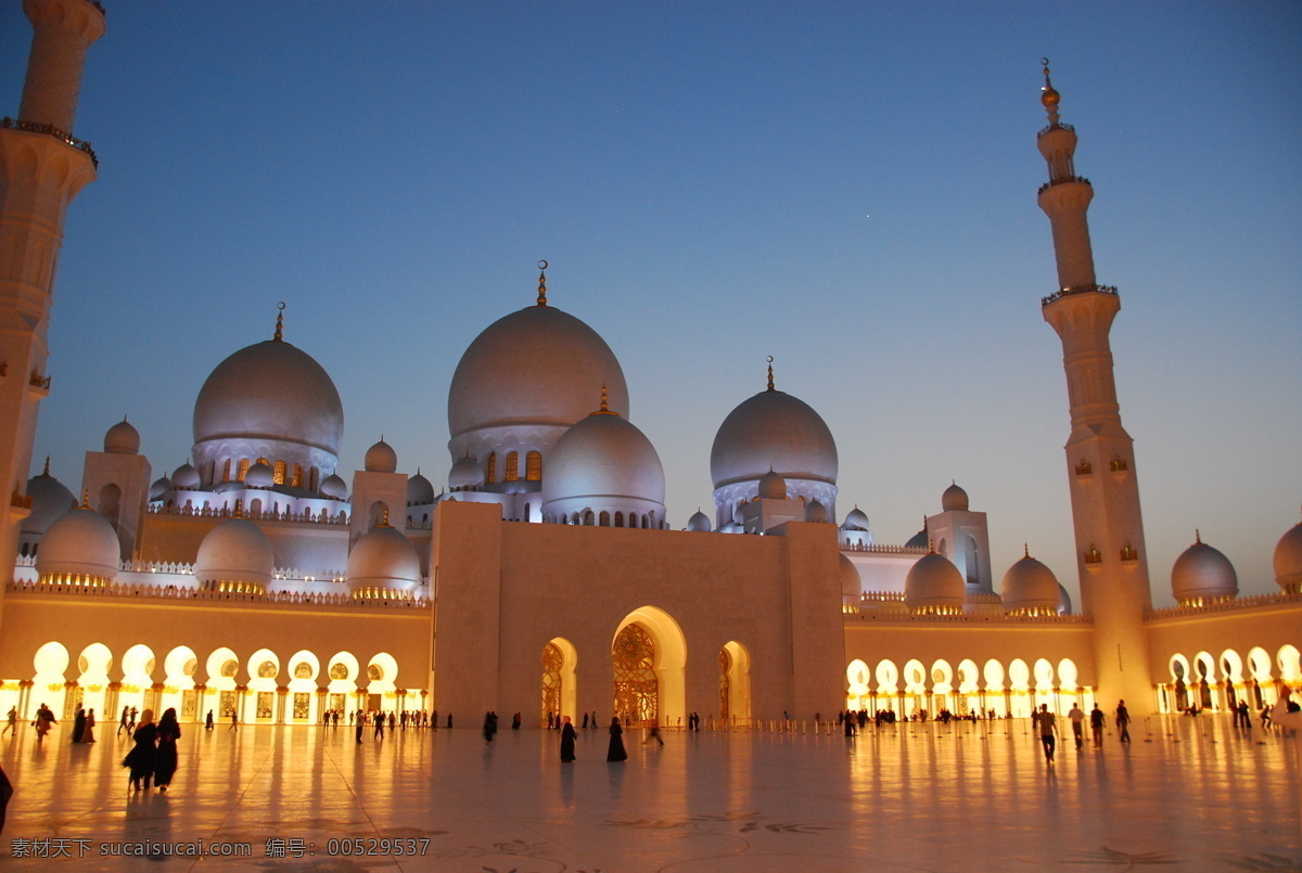 阿布扎比 大 清真寺 夜景 奢侈 伊斯兰 中东 阿联酋 宗教 国外旅游 旅游摄影