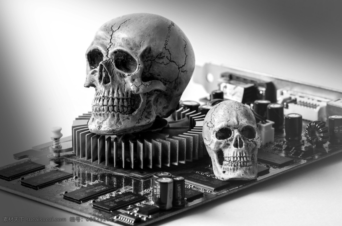 电脑 主板 上 骷髅 电脑主板 电板 电脑零件 人类头骨 其他类别 生活百科