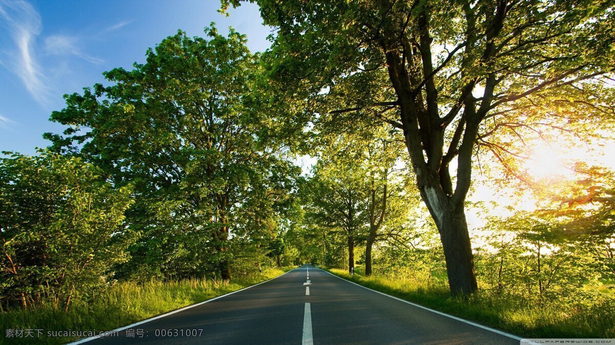 公路 马路 自然景观 林荫大道 阳光 绿色 树木 蓝天 高清图片 自然风景