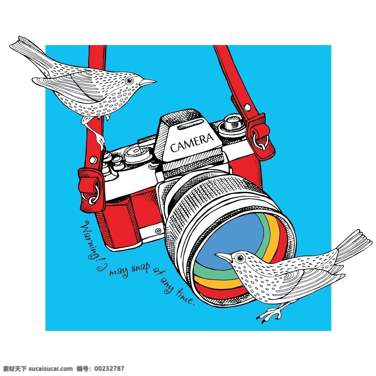趣味 小鸟 相机 插画 彩色 动物 手绘