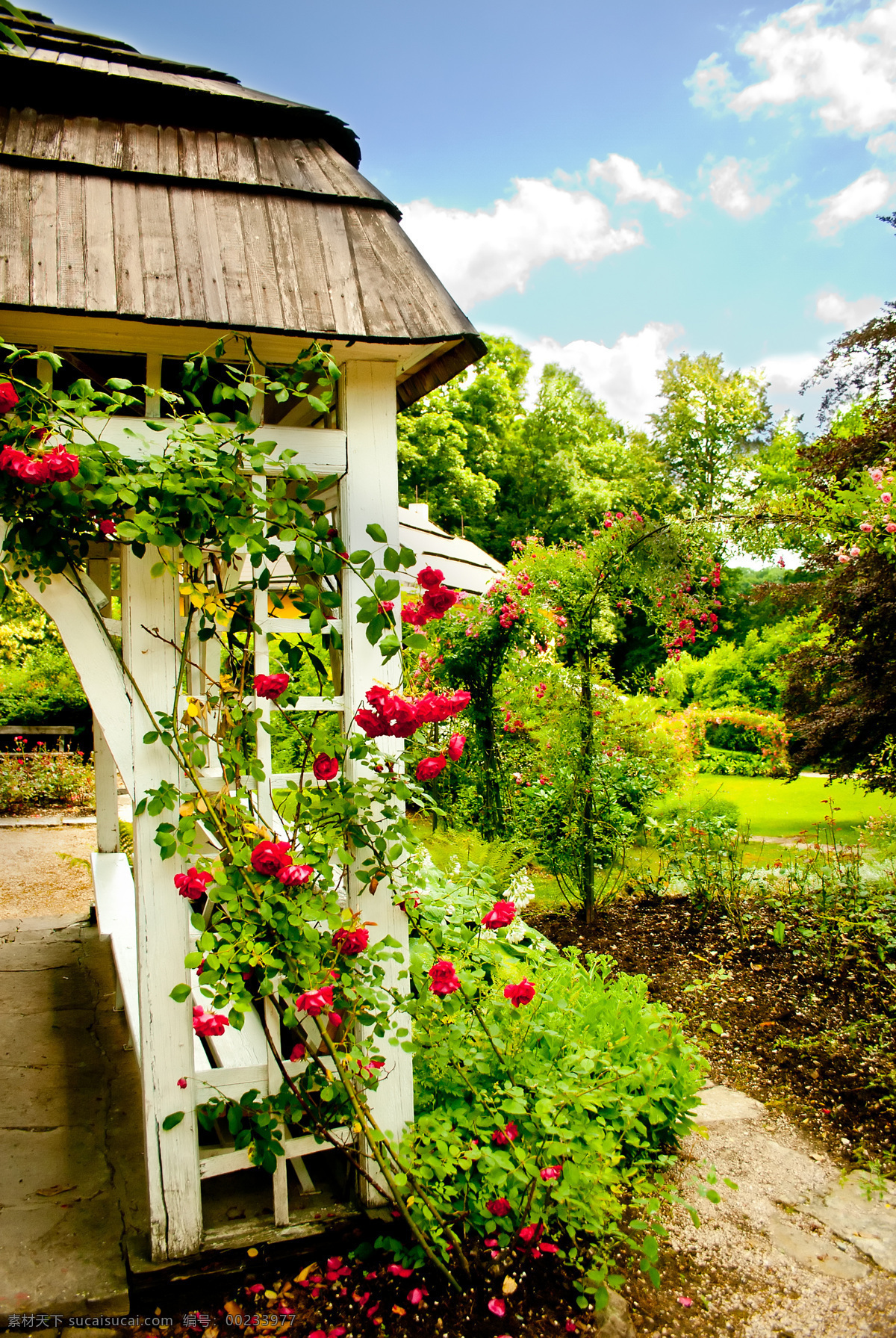 庭院鲜花 庭院风景 院子 美丽风景 风景摄影 花园 鲜花 花朵 园林景观 环境家居 黑色