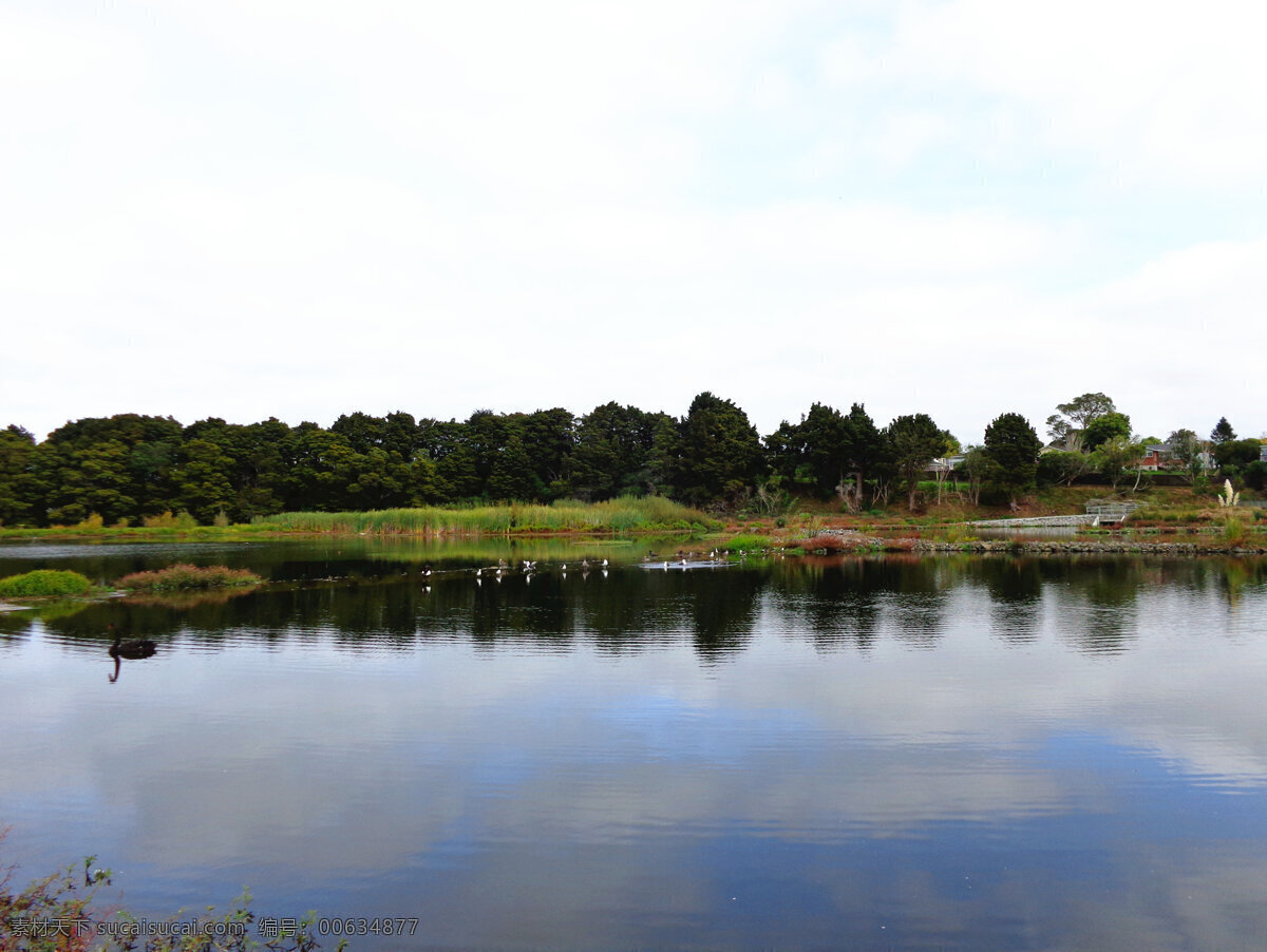 野鸭湖风景 蓝天 白云 绿树 绿地 野鸭湖 湖水 倒影 新西兰风光 自然景观 自然风景 白色