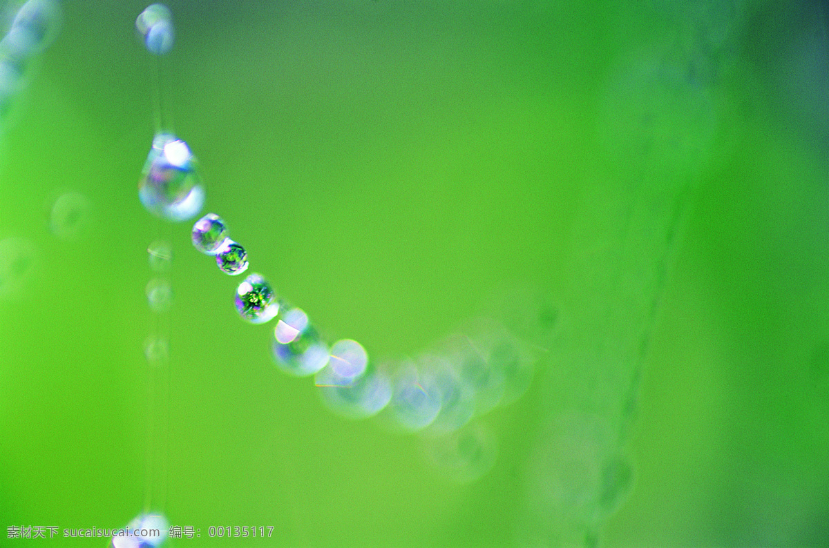 露珠 效果 绿色 美丽 梦幻 水滴 水珠