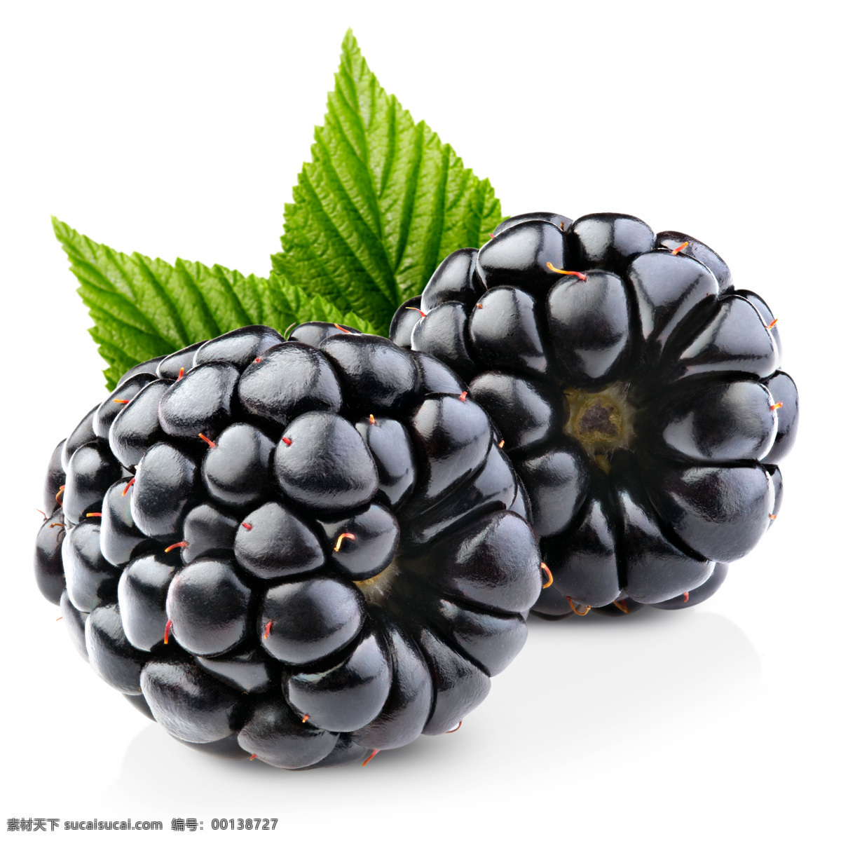 黑莓摄影 黑莓 新鲜水果 水果摄影 果实 浆果 水果蔬菜 餐饮美食 白色