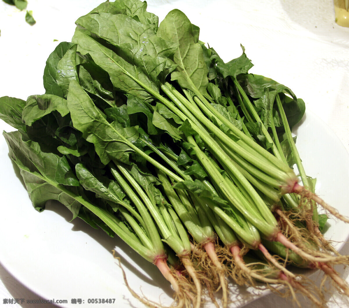 蔬菜免费下载 安全 菠菜 健康 绿色 生物世界 食品 蔬菜 新鲜 未加工 生的 风景 生活 旅游餐饮