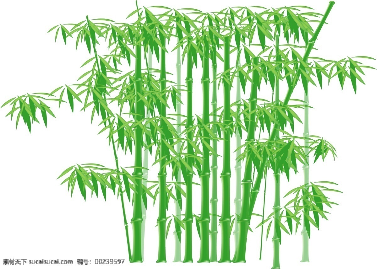 竹子分层 竹子 竹叶 竹林 绿色 分层 源文件
