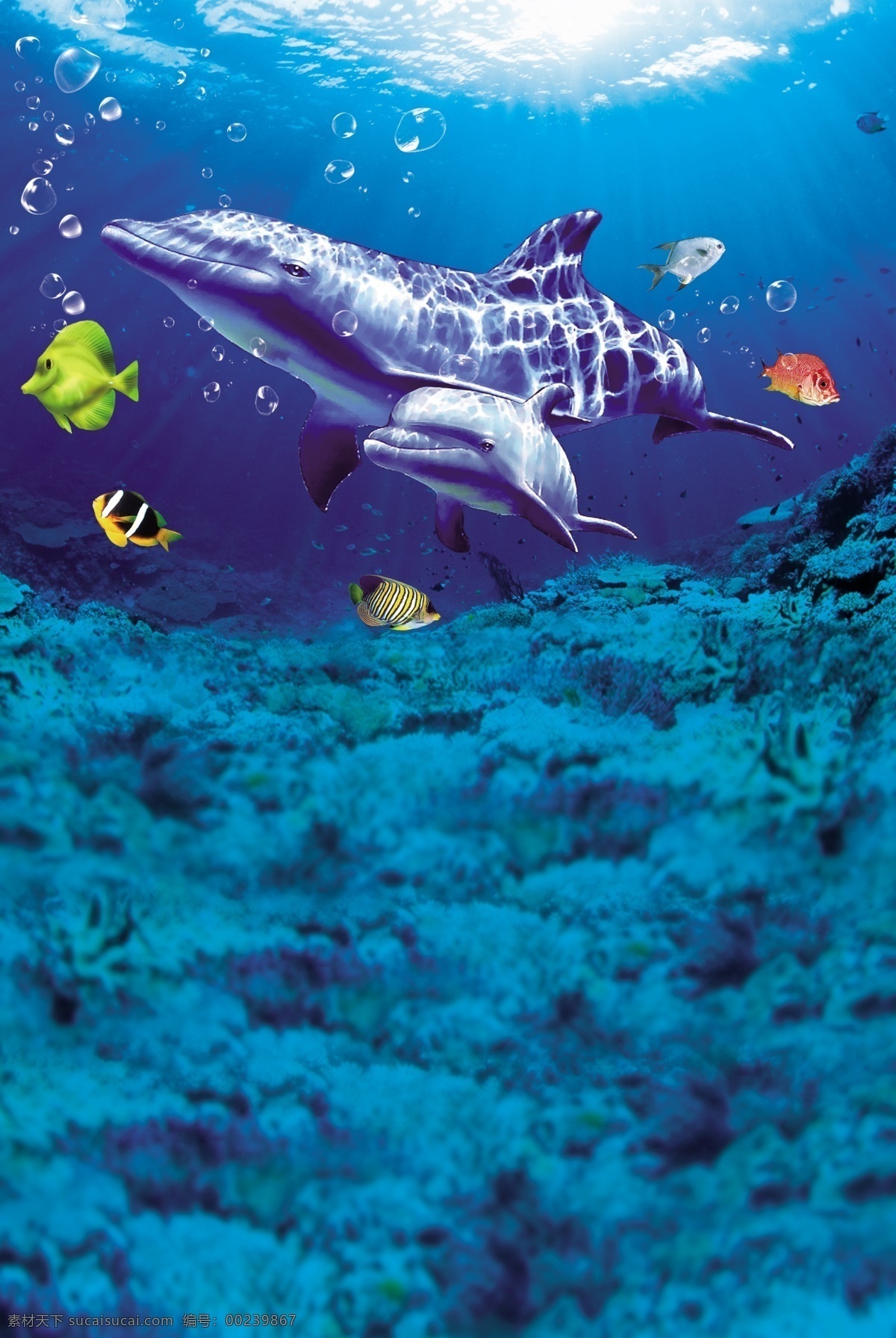 海底海洋世界 海底风景 3d立体海底 风景海底 海草海画 大海海鱼 海底海豚风景 海底 世界 海 鲨鱼 鲸 瓷砖 3d背景墙 3d 立体 海豚 水底世界 风景 风景画 海洋海底世界 3d立体 3d海底世界 梦幻海底世界 唯美海底世界 3d鲨鱼 3d海豚 珊瑚礁 海藻 海草 海底鱼群 海底世界 生物世界 鱼类