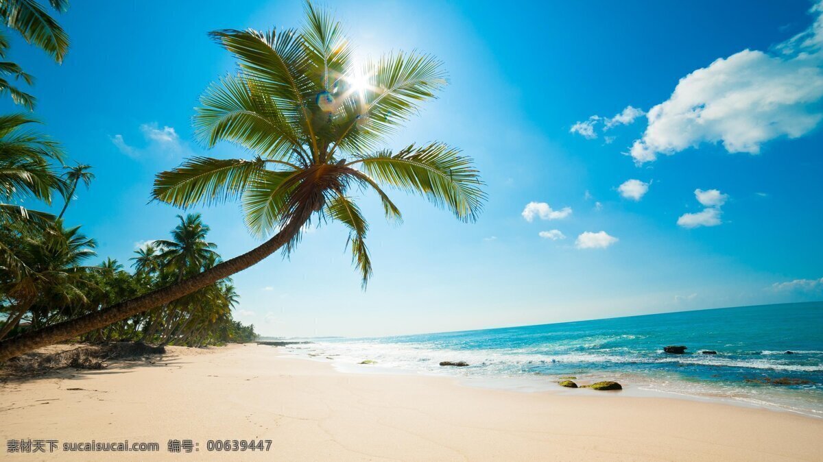 唯美海滩 椰树 沙滩 大海 大海风光 金沙滩 海边 海边沙滩 旅游摄影 国内旅游 自然景观 自然风景