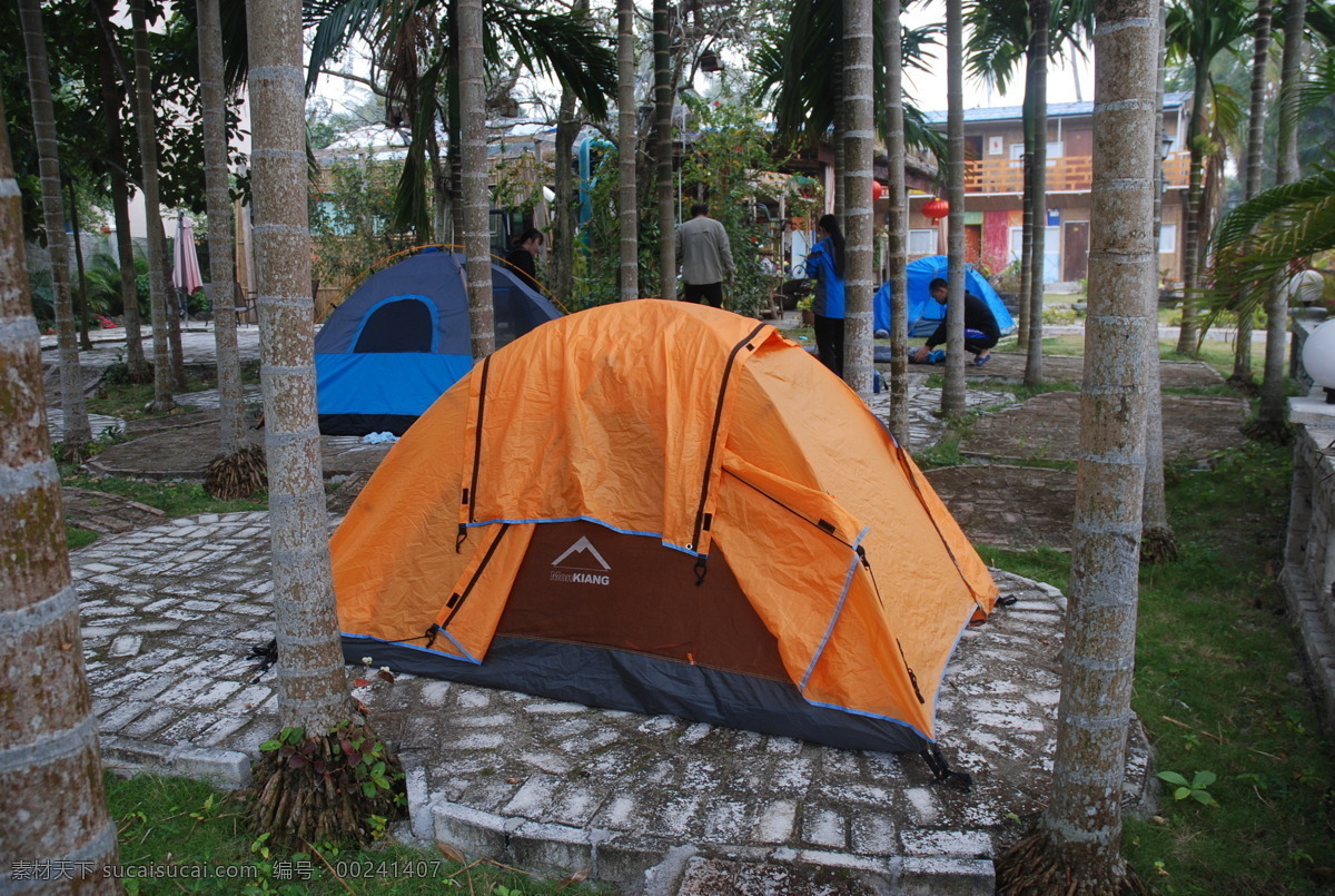 椰林露营 椰林 帐篷 露营 驴友 清晨 国内旅游 旅游摄影