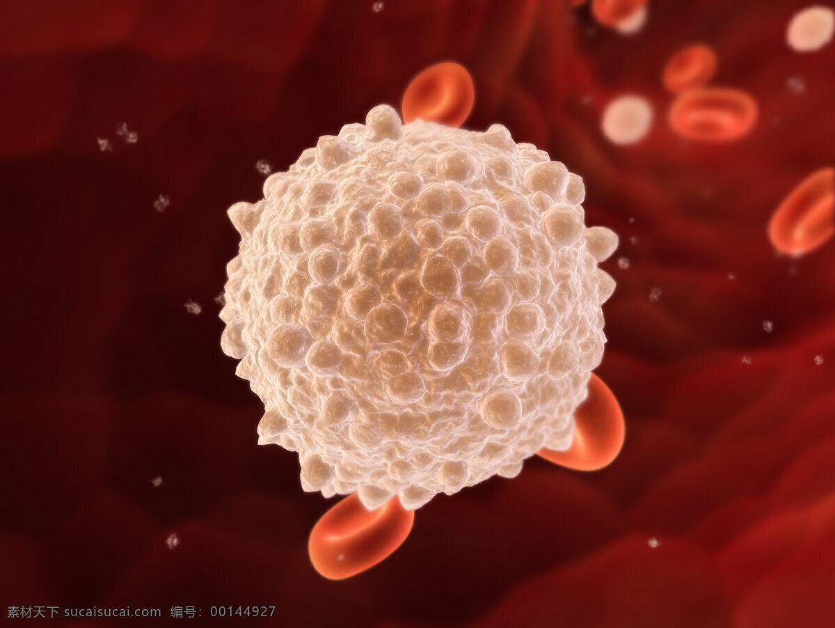 动脉 血红细胞 血管 白细胞 3d 医学研究 血液 科学 显微状态 现代科技 医疗护理